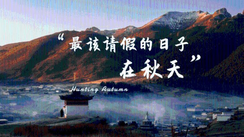 天天炫斗