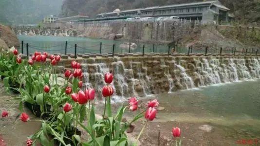 逃离遗弃的建筑3