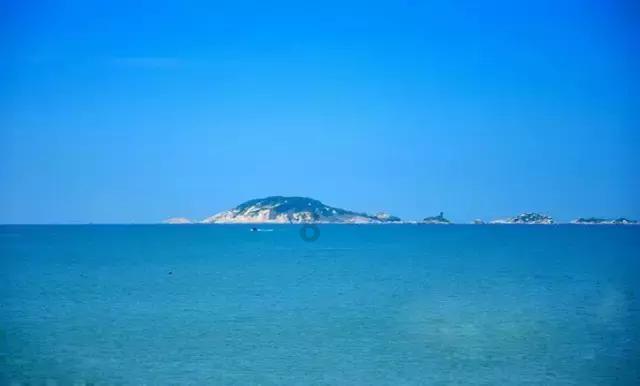 寻找火鸡