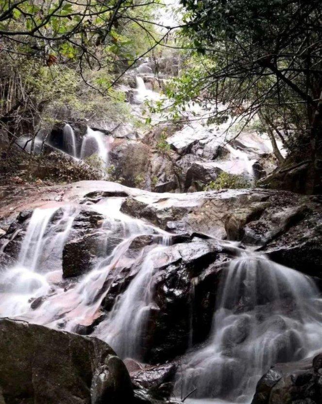 蜂王救援